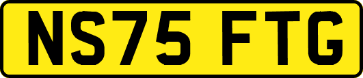 NS75FTG