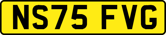 NS75FVG