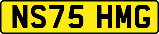 NS75HMG