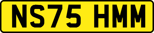 NS75HMM