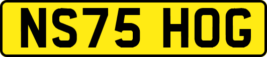 NS75HOG