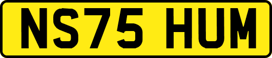 NS75HUM