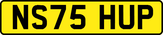 NS75HUP