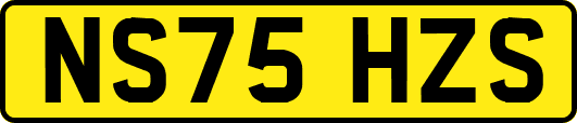 NS75HZS