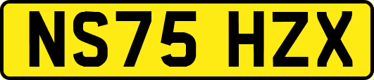 NS75HZX
