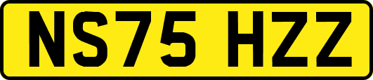 NS75HZZ