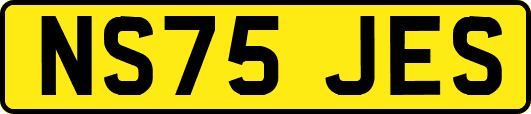 NS75JES