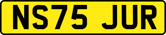 NS75JUR