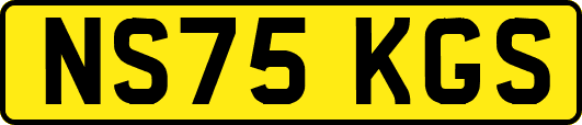 NS75KGS