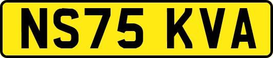 NS75KVA