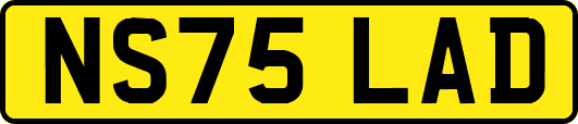 NS75LAD