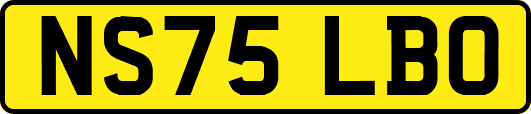 NS75LBO