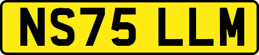 NS75LLM