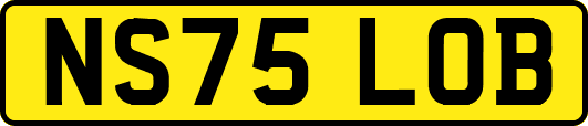 NS75LOB