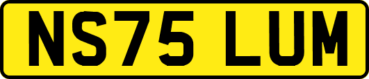 NS75LUM