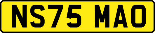 NS75MAO