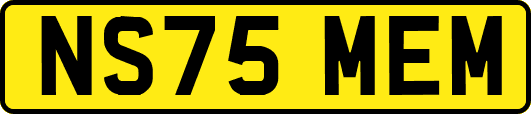 NS75MEM