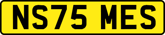 NS75MES