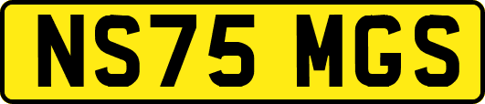 NS75MGS