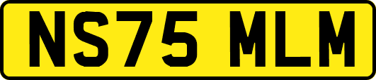 NS75MLM