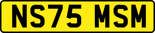 NS75MSM