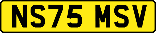 NS75MSV