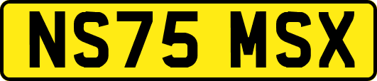 NS75MSX