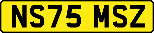 NS75MSZ