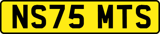 NS75MTS