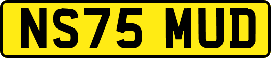 NS75MUD
