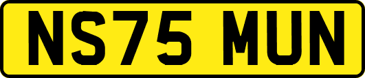 NS75MUN