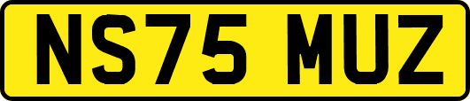 NS75MUZ