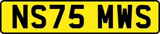 NS75MWS