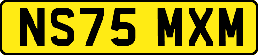NS75MXM