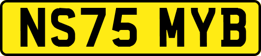 NS75MYB