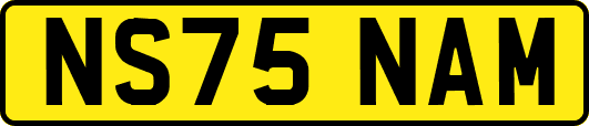 NS75NAM