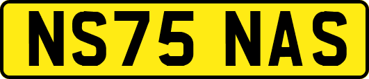 NS75NAS