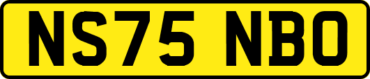 NS75NBO