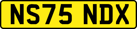 NS75NDX