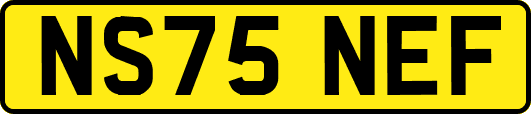NS75NEF