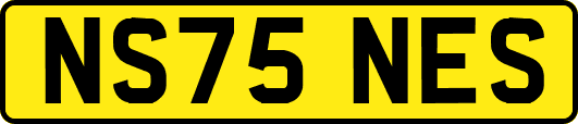 NS75NES