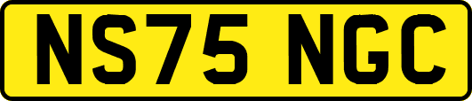 NS75NGC