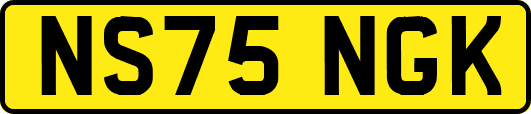 NS75NGK