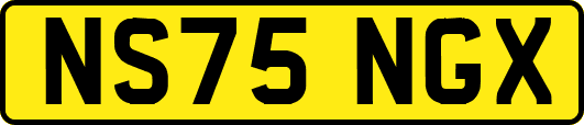 NS75NGX