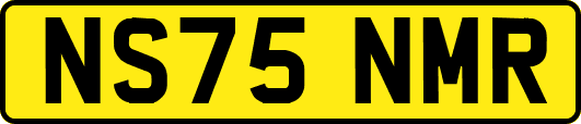 NS75NMR