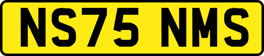 NS75NMS