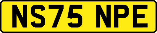 NS75NPE