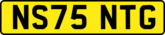 NS75NTG