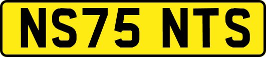 NS75NTS
