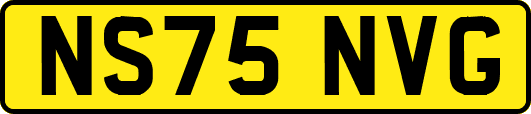 NS75NVG